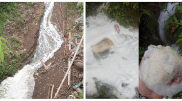 Izin Dasar, Produksi, dan Pengiriman Produk PT Rosin Trading Internasional Sama-Sama Masuk Dalam Pertanyaan Publik